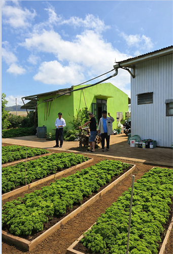 CHUYỂN ĐỔI SỐ TRONG SẢN XUẤT RAU VIETGAP – BƯỚC TIẾN TẤT YẾU HƯỚNG TỚI NÔNG NGHIỆP MINH BẠCH VÀ BỀN VỮNG